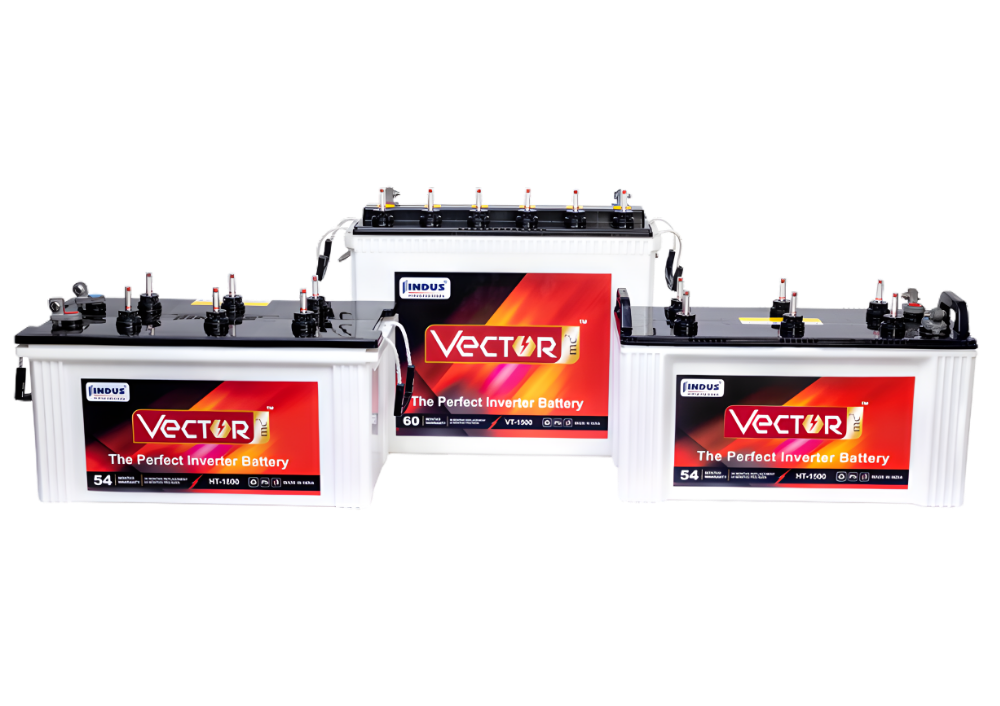 Inverter Battery